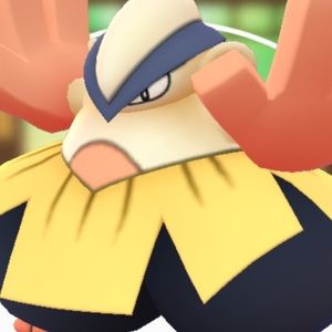 Meet your Posher, Janny